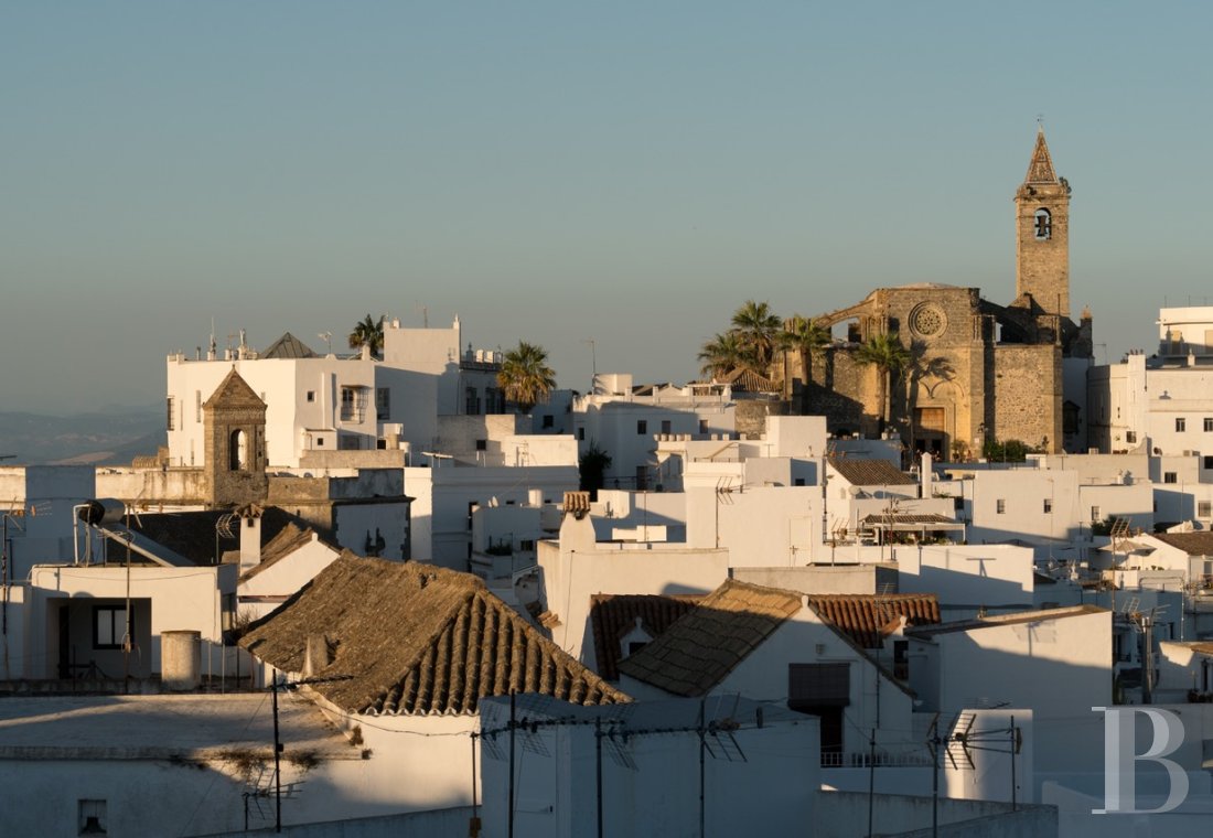 A former «cortijo» dedicated to holidays in Andalusia in the south of Spain - photo  n°33